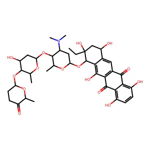 CG 11 structure