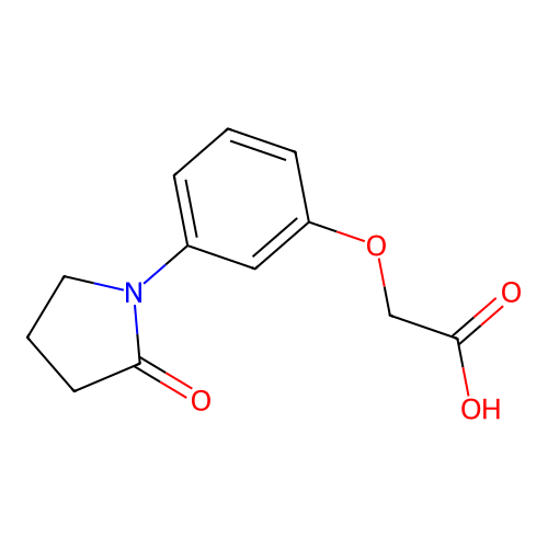 2-[3-(2-oxopyrrolidin-1-yl)phenoxy]acetic Acid structure