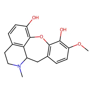 Claviculine structure