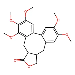 Neoisostegane structure