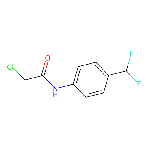 2-chloro-N-[4-(difluoromethyl)phenyl]acetamide structure
