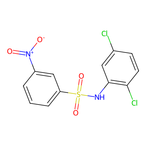 Benzenesulfonamide, N-(2,5-dichlorophenyl)-3-nitro- structure