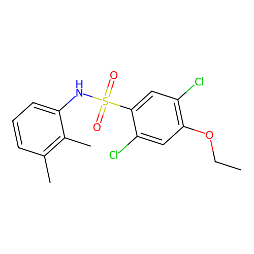2,5-dichloro-N-(2,3-dimethylphenyl)-4-ethoxybenzenesulfonamide structure