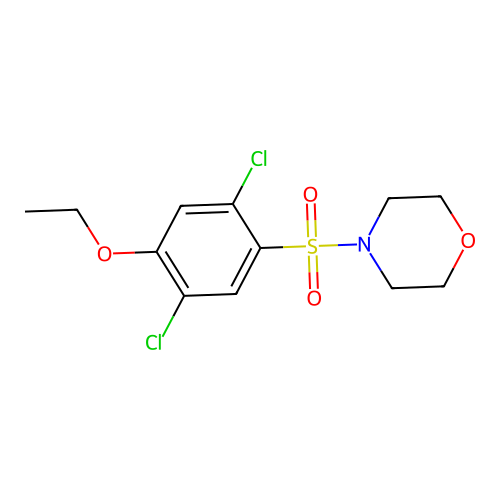 4-(2,5-Dichloro-4-ethoxybenzenesulfonyl)morpholine structure