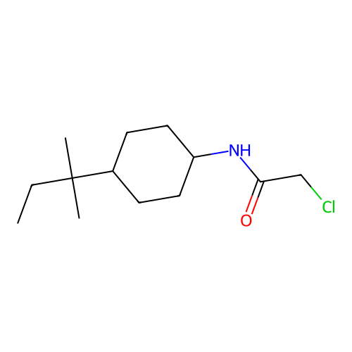 2-chloro-N-[4-(2-methylbutan-2-yl)cyclohexyl]acetamide structure