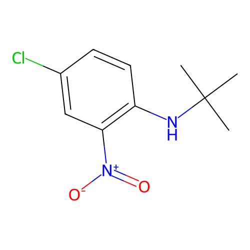 N-tert-butyl-4-chloro-2-nitroaniline structure