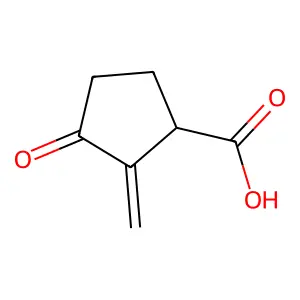 2-亚甲基-3-氧代环戊烷甲酸 structure