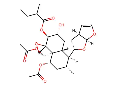 (-)-Ajugapitin structure