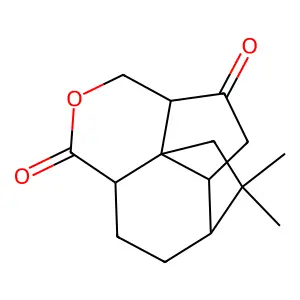 Quadrone structure