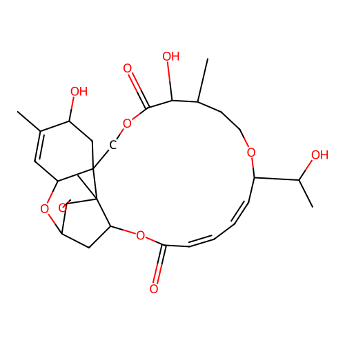 8B-Hydroxyroridin A structure