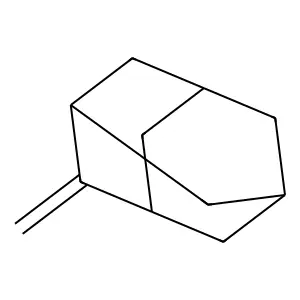 2-Methylideneadamantane structure