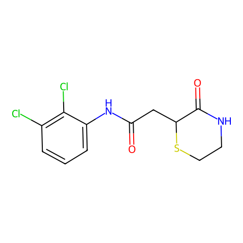 N-(2,3-dichlorophenyl)-2-(3-oxothiomorpholin-2-yl)acetamide structure