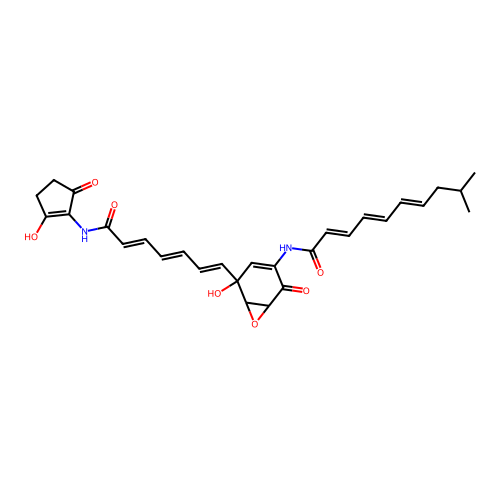 U 56407 structure