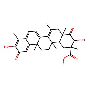 Netzahualcoyone structure
