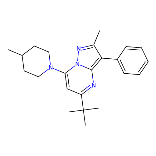 5-tert-butyl-2-methyl-7-(4-methylpiperidin-1-yl)-3-phenylpyrazolo[1,5-a]pyrimidine structure