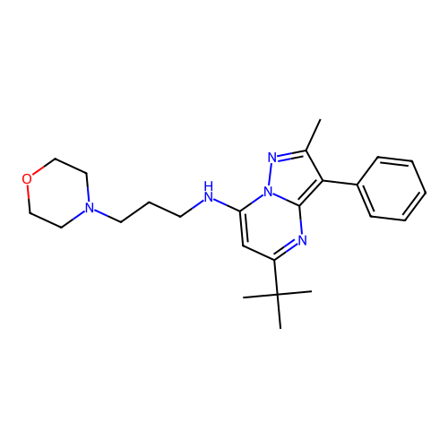 5-(tert-butyl)-2-methyl-N-(3-morpholinopropyl)-3-phenylpyrazolo[1,5-a]pyrimidin-7-amine structure