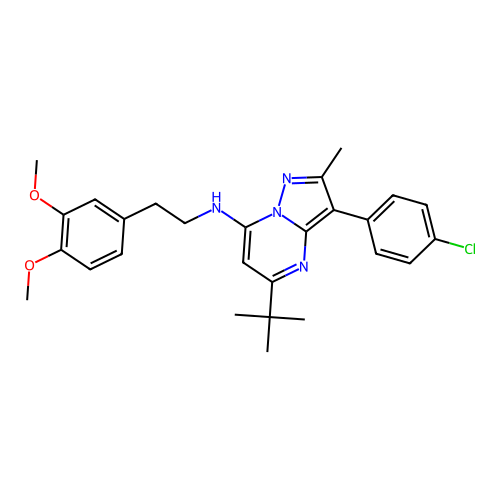 5-tert-butyl-3-(4-chlorophenyl)-N-[2-(3,4-dimethoxyphenyl)ethyl]-2-methylpyrazolo[1,5-a]pyrimidin-7-amine structure