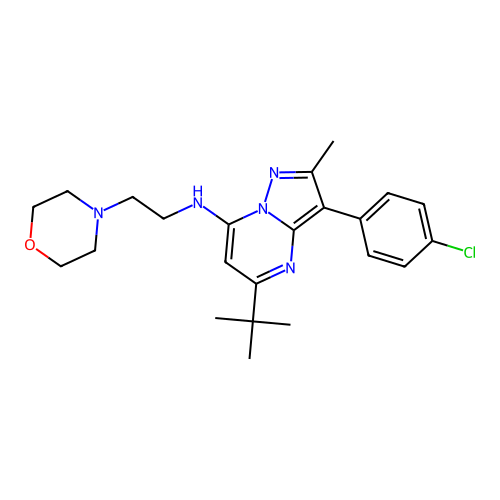 5-(tert-butyl)-3-(4-chlorophenyl)-2-methyl-N-(2-morpholinoethyl)pyrazolo[1,5-a]pyrimidin-7-amine structure