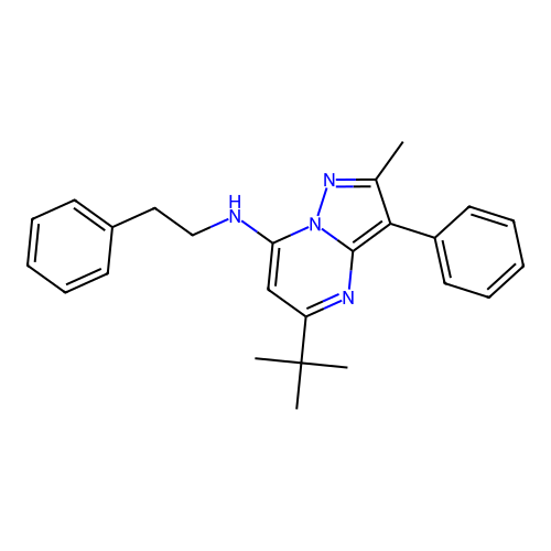 5-tert-butyl-2-methyl-3-phenyl-N-(2-phenylethyl)pyrazolo[1,5-a]pyrimidin-7-amine structure