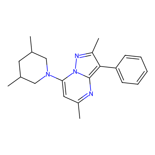 7-(3,5-Dimethylpiperidin-1-yl)-2,5-dimethyl-3-phenylpyrazolo[1,5-a]pyrimidine structure