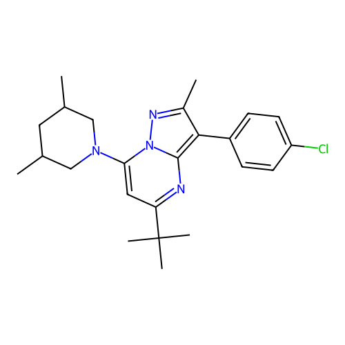 5-tert-butyl-3-(4-chlorophenyl)-7-(3,5-dimethylpiperidin-1-yl)-2-methylpyrazolo[1,5-a]pyrimidine structure