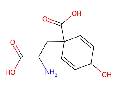 Arogenic acid structure