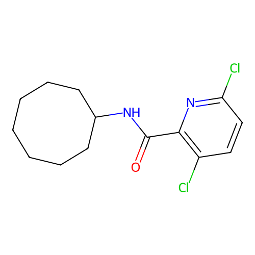 3,6-dichloro-N-cyclooctylpyridine-2-carboxamide structure