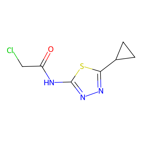2-chloro-N-(5-cyclopropyl-1,3,4-thiadiazol-2-yl)acetamide structure