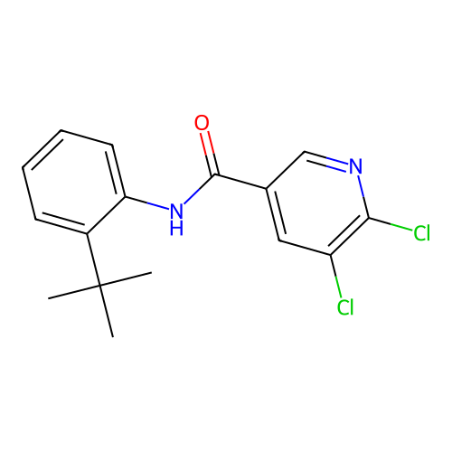 N-(2-tert-butylphenyl)-5,6-dichloropyridine-3-carboxamide structure
