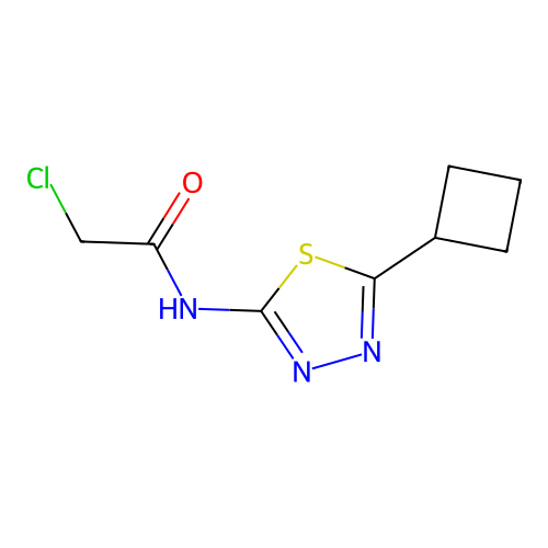 2-chloro-N-(5-cyclobutyl-1,3,4-thiadiazol-2-yl)acetamide structure
