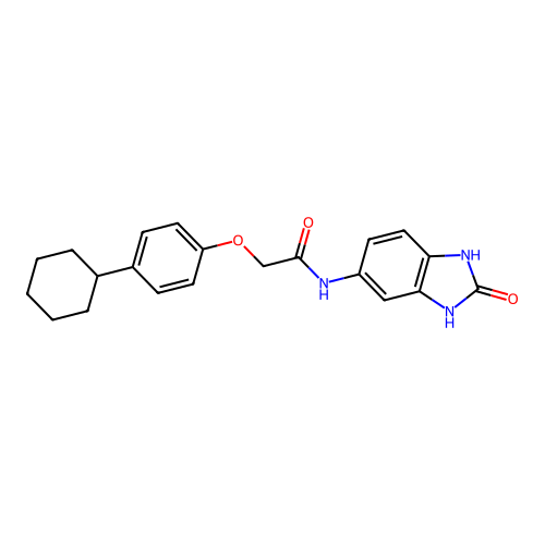 2-(4-cyclohexylphenoxy)-N-(2-oxo-2,3-dihydro-1H-benzimidazol-5-yl)acetamide structure