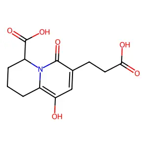 A 58365B structure