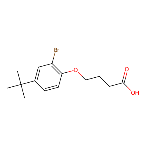 4-(2-Bromo-4-tert-butylphenoxy)butanoic acid structure