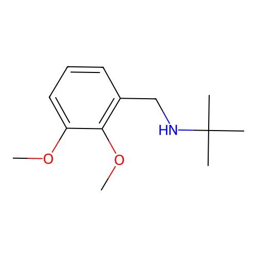 N-(tert-butyl)-N-(2,3-dimethoxybenzyl)amine structure