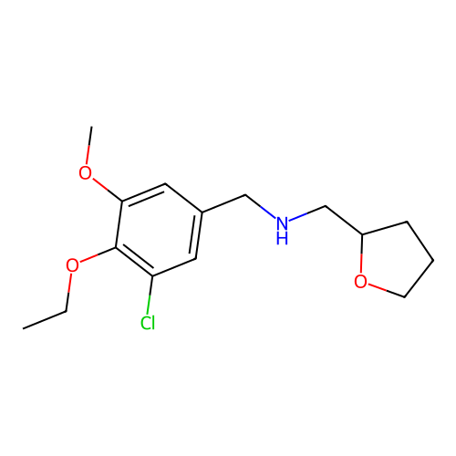 N-[(3-chloro-4-ethoxy-5-methoxyphenyl)methyl]-1-(oxolan-2-yl)methanamine structure