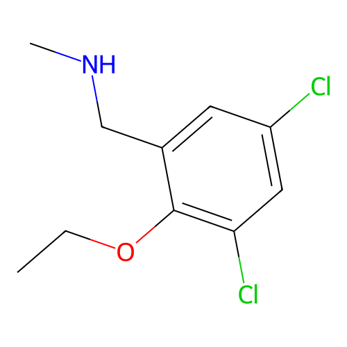 1-(3,5-dichloro-2-ethoxyphenyl)-N-methylmethanamine structure