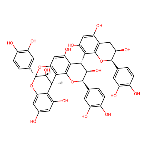 Cinnamtannin B1 structure