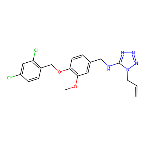 ASN 13155519 structure