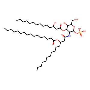 Lipid Y structure