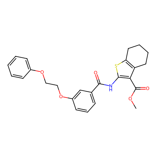 Methyl 4,5,6,7-tetrahydro-2-[[3-(2-phenoxyethoxy)benzoyl]amino]benzo[b]thiophene-3-carboxylate structure