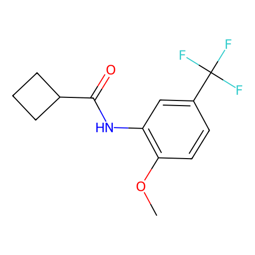 N-[2-methoxy-5-(trifluoromethyl)phenyl]cyclobutanecarboxamide structure
