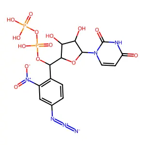 4-Azido-2-nitrophenyluridylyl pyrophosphate structure