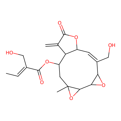 LMU-5 HERZ structure