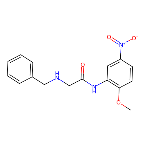 2-(benzylamino)-N-(2-methoxy-5-nitrophenyl)acetamide structure