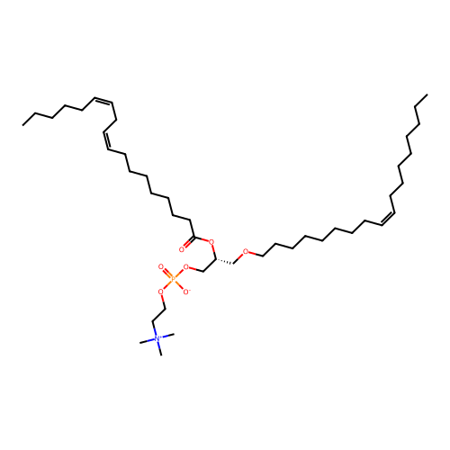 PC(o-18:1(9Z)/18:2(9Z,12Z)) structure