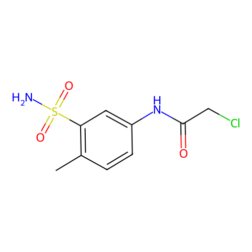 2-chloro-N-(4-methyl-3-sulfamoylphenyl)acetamide structure