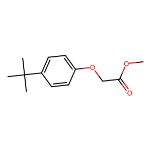 Methyl (p-tert-butylphenoxy)acetate structure