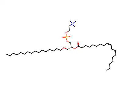 PC(O-16:0/18:2(9Z,12Z)) structure