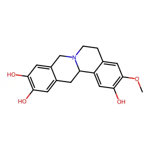 Pessoine structure