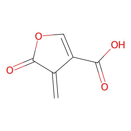 4-Methylene-5-oxo-4,5-dihydrofuran-3-carboxylic acid structure